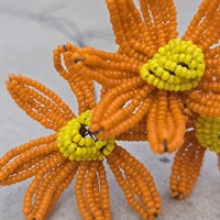 ottebladet-orange-glasperleblomst-gul-midte-gammel-perleblomst-Frankrig